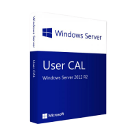 Microsoft Windows Server CAL